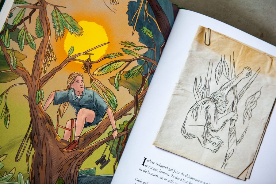 6 // Leven tussen de apen